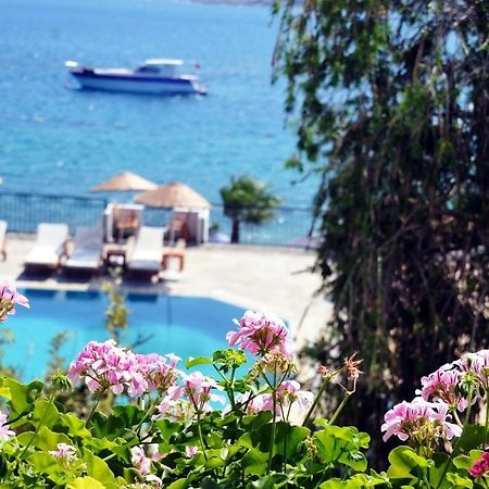 Omar Hotel & Suites Торба Экстерьер фото